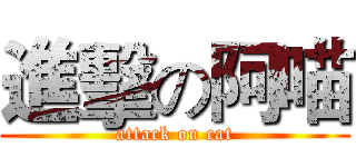 進擊の阿喵 (attack on cat)