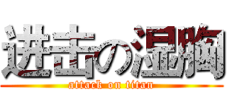 进击の湿胸 (attack on titan)