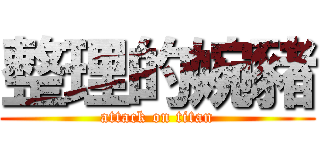 整理的婉豬 (attack on titan)