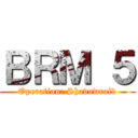 ＢＲＭ ５ (Operation: Shadowraid)