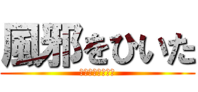 風邪をひいた (静かにしろお前ら)