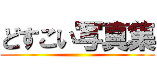 どすこい写真集 ()