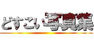 どすこい写真集 ()