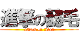 進撃の懿毛 (attack on titan)