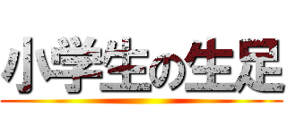 小学生の生足 ()
