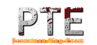 ＰＴＥ (Persatuan Tng Enam)