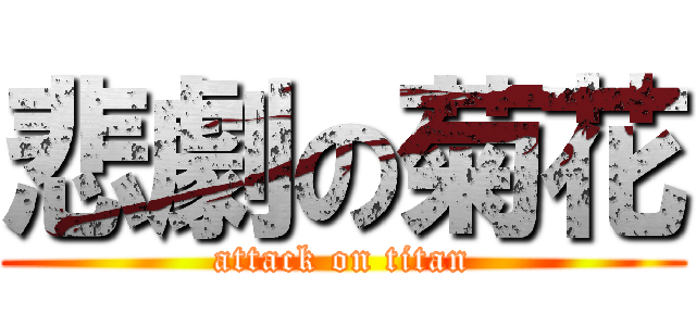 悲劇の菊花 (attack on titan)