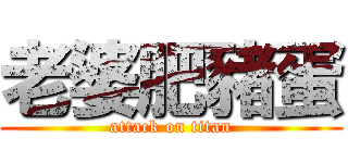 老婆肥豬蛋 (attack on titan)