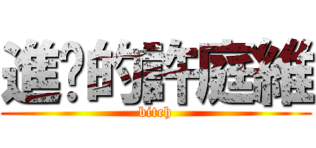 進擊的許庭維 (bitch)