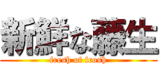 新鮮な藤生 (fresh of frosh)