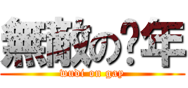 無敵の骚年 (wudi on gay)