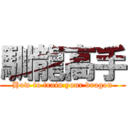 馴龍高手 (How to train your dragon)