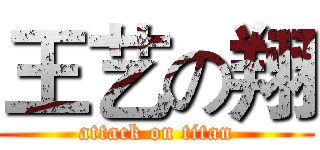 王艺の翔 (attack on titan)