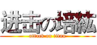 进击の培紘 (attack on titan)