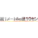 縦１メートルの横１０センチ (attack on titan)