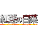 紅蓮の白菜 (Red　Chinese　cabbage)