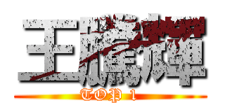 王騰輝 (TOP 1)