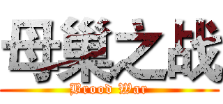 母巢之战 (Brood War)