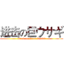 进击の巨ウサギ (attack on Giant Rabbit)