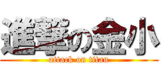 進撃の金小 (attack on titan)