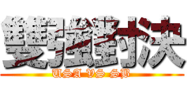 雙強對決 (USA VS SB)