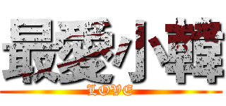 最愛小韓 (LOVE)