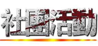社團活動 ()