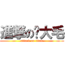 進撃の吴大毛 (attack on titan)