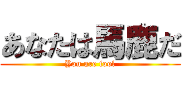 あなたは馬鹿だ (You are fool)