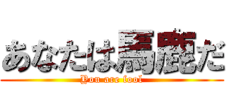 あなたは馬鹿だ (You are fool)