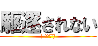 駆逐されない ((´･∀･`))