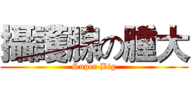 攝護腺の腫大 (Super Big)