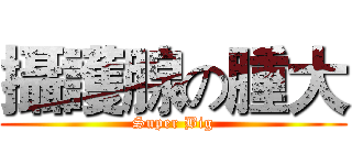 攝護腺の腫大 (Super Big)