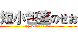 短小包茎のせお (Phimosis on Seo)