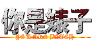 你是婊子 (YOU ARE BITCH)