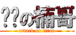 进击の楠哥 (attack on titan)