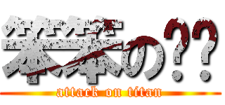 笨笨の傻傻 (attack on titan)