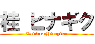 桂 ヒナギク (Katsura Hinagiku)