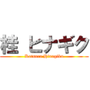 桂 ヒナギク (Katsura Hinagiku)