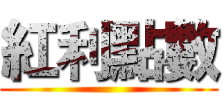 紅利點數 ()