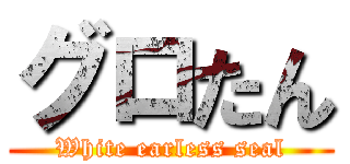 グロたん (White earless seal)