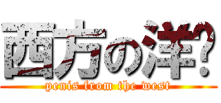 西方の洋屌 (penis from the west)