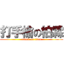 打手槍の柏霖 (attack on titan)