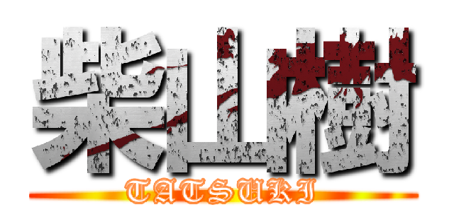 柴山樹 (TATSUKI)