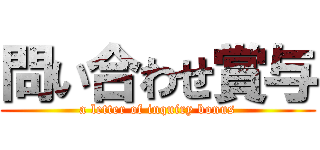 問い合わせ賞与 (a letter of inquiry bonus)