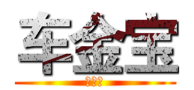 车金宝 (车金宝)