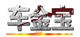 车金宝 (车金宝)