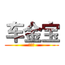 车金宝 (车金宝)