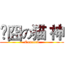 ¬囧の猫 神 (Concord)