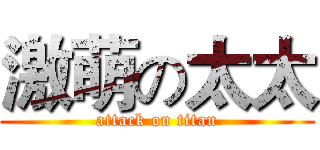 激萌の太太 (attack on titan)